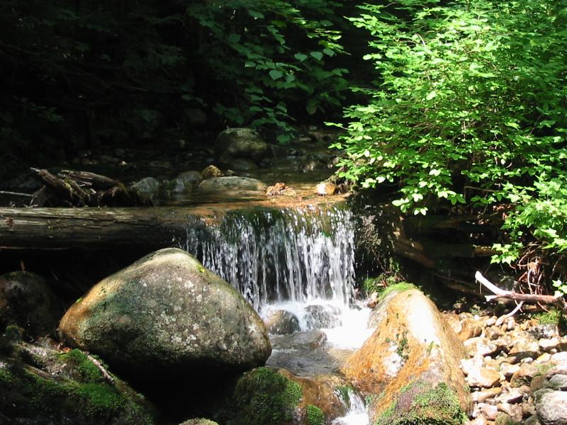 Feeder stream along Lincoln Brook