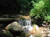 Feeder stream along Lincoln Brook